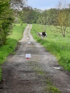 Das war der 28. Rheinland Cup im Sommerbiathlon – Rückblick und Ergebnisse